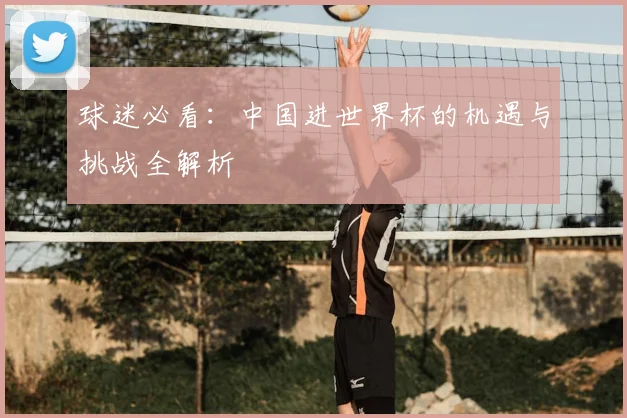 球迷必看：中国进世界杯的机遇与挑战全解析