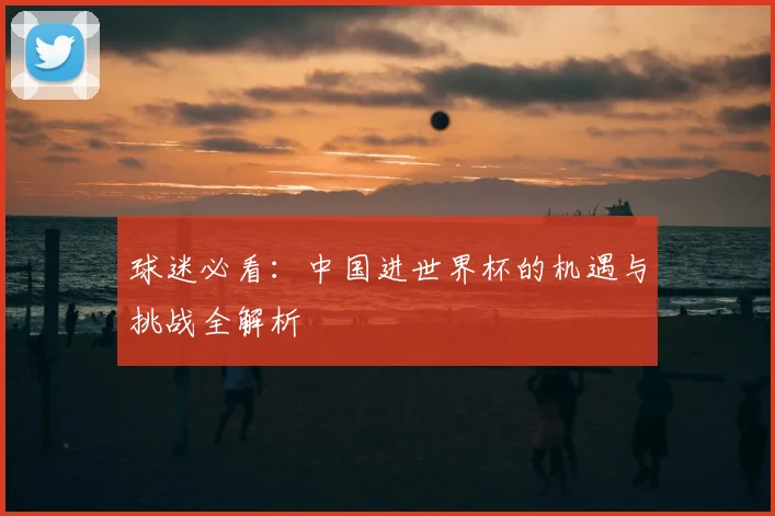 球迷必看：中国进世界杯的机遇与挑战全解析