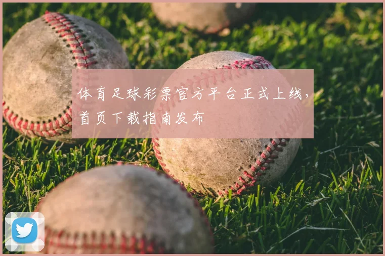 体育足球彩票官方平台正式上线,首页下载指南发布